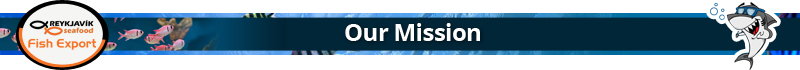 Our Mission.jpg
