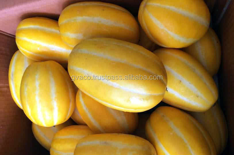 korean yellow melon