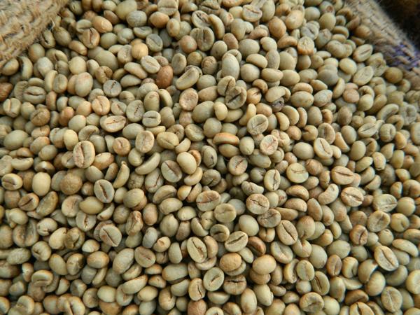 ARABICA-AND-ROBUSTA-COFFEE-BEANS-FOR-SALE.jpg